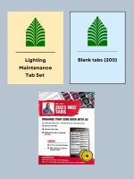 Florida Lighting Maintence Tab Bundle