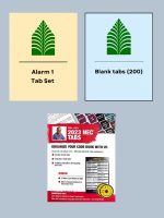Florida Alarm I Tab Bundle