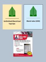 Florida Unlimited Electric Tab Bundle